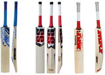 Lightweight or Heavyweight Bat