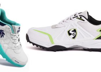 Budget Cricket Shoes
