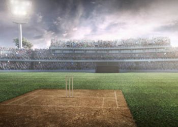 Cricket Pitches