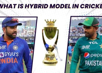 Hybrid Model in Cricket