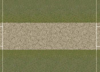 Types of Pitch in Cricket