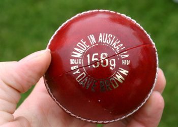Cricket Ball Leather