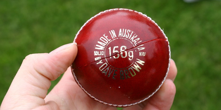 Cricket Ball Leather