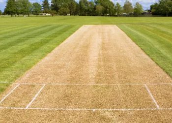 Cricket Pitch Dimensions