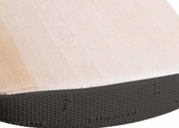 Cricket Bat Toe Guard